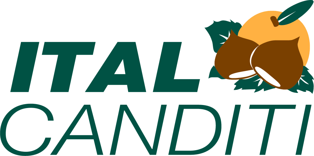 Italcanditi logo